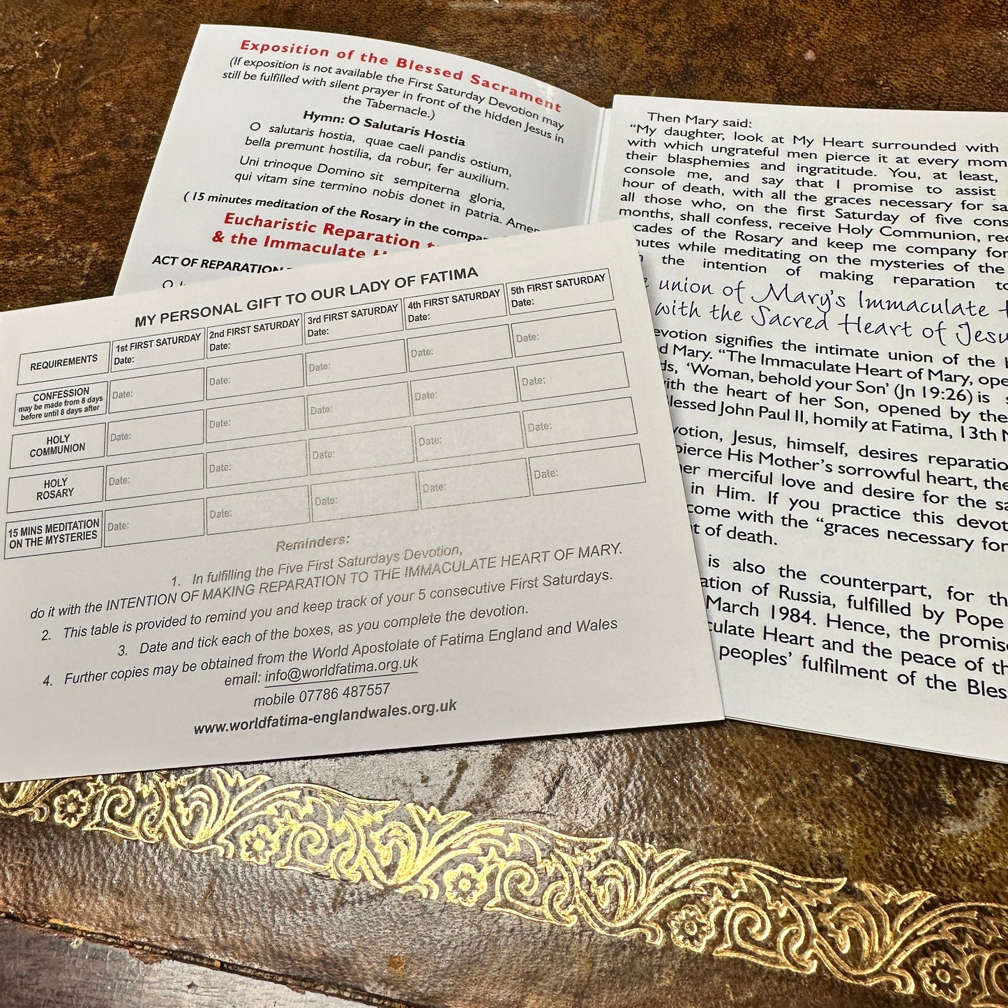 Lady of Fatima Programme