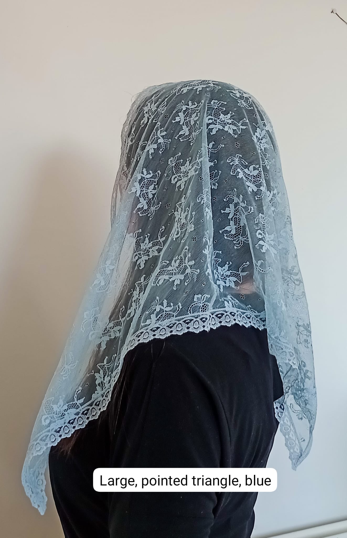 Catholic Mass mantilla